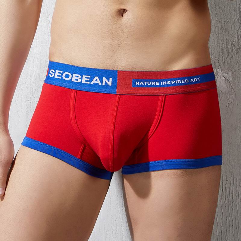 Custom OEM Logo Brand Boxer For Mens