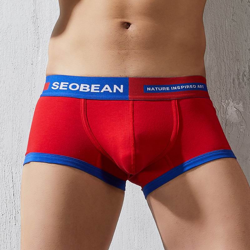Custom OEM Logo Brand Boxer For Mens