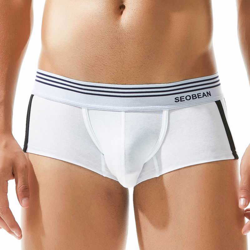 ODM Customized Logo Waistband Boxer Shorts Mens