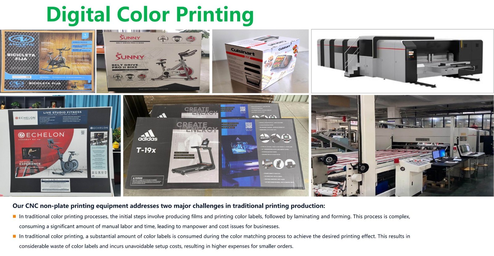 paper molded pulp packaging 40